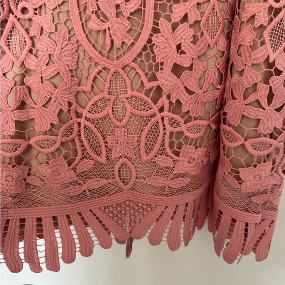 Lovers + Friends Caspian Lace Shift Dress - Picture 7 of 7